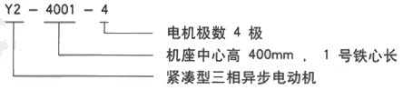 YR系列(H355-1000)高压YJTGKK5603-8三相异步电机西安西玛电机型号说明